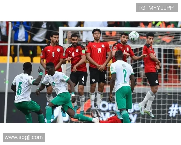 非洲杯激战埃及对阵多哥球迷期待精彩对决与历史交锋